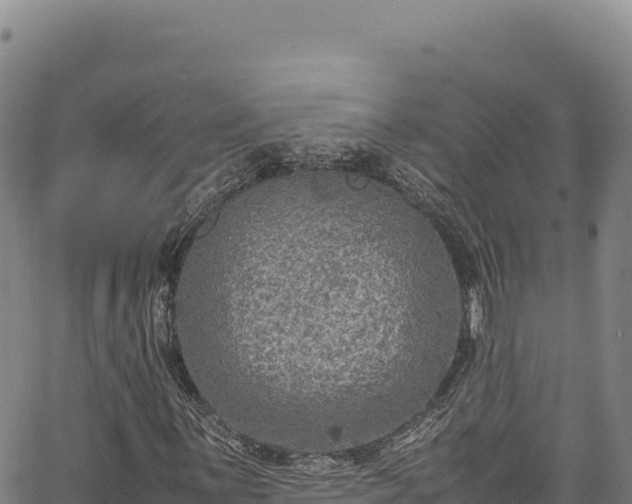 X0000064771059200602131311