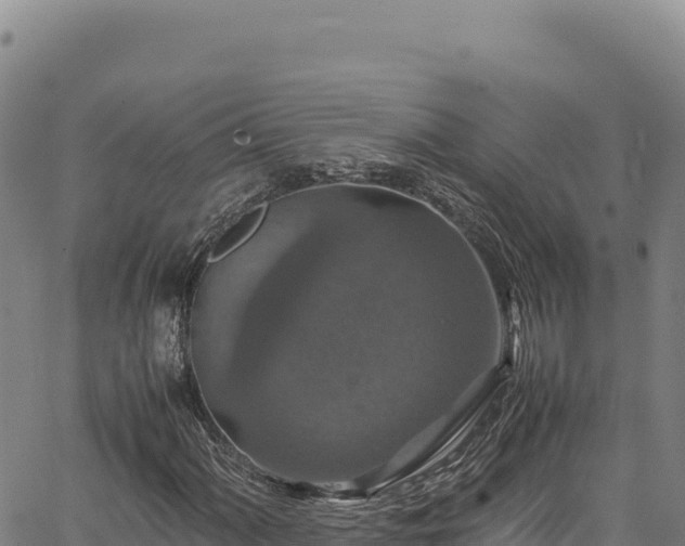 X0000064771060200602131311