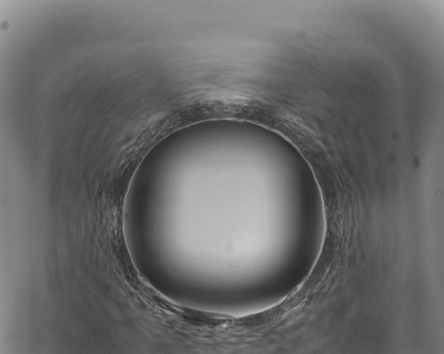 X0000064771061200602131311