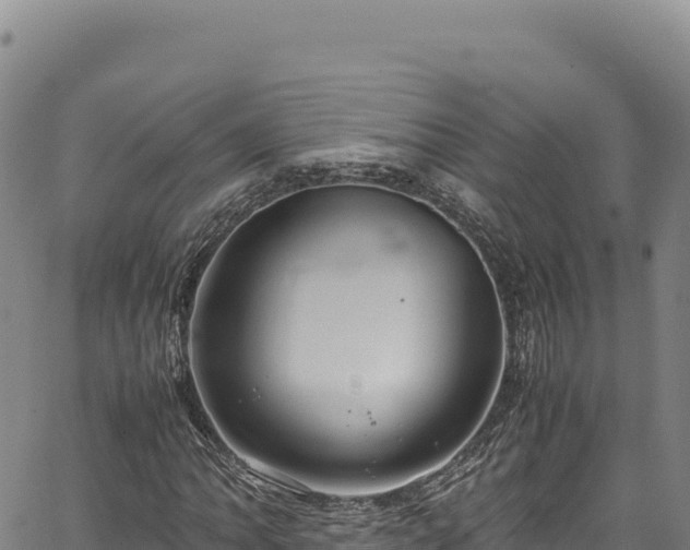 X0000064771062200602131311