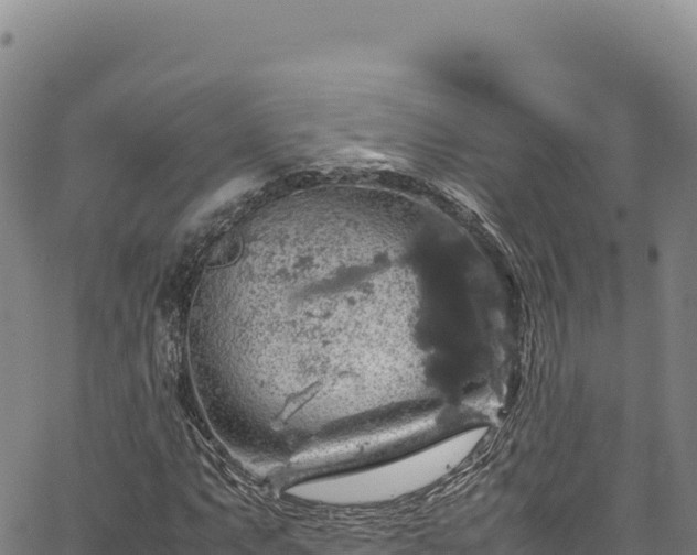 X0000064771063200602131311