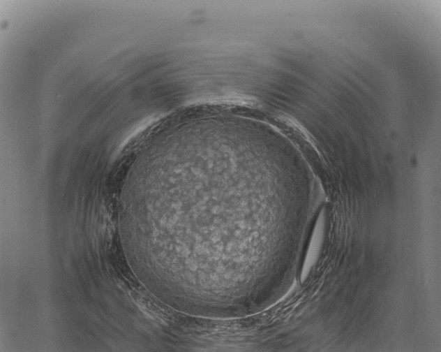 X0000064771064200602131311