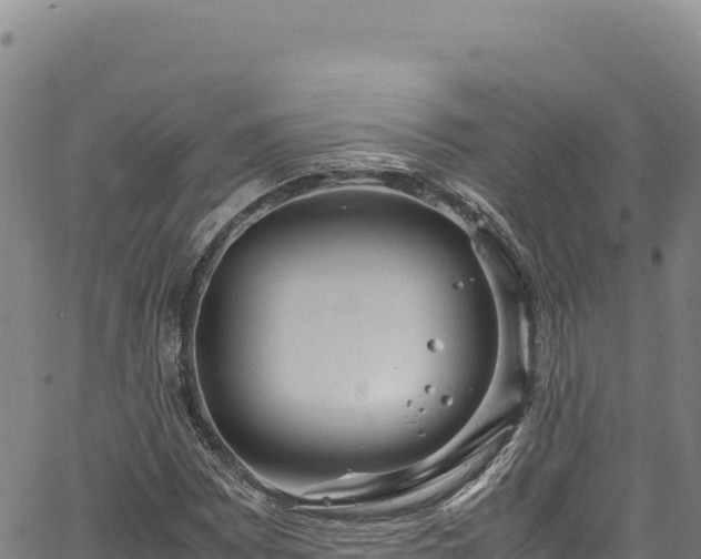 X0000064771065200602131311