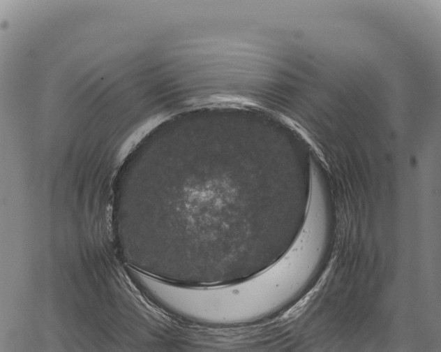 X0000064771066200602131311