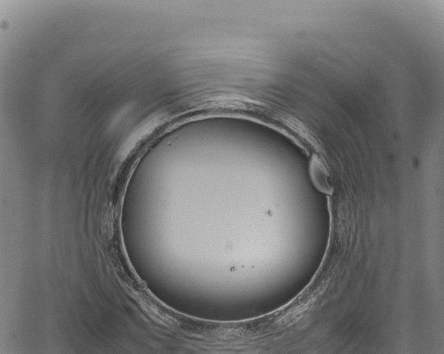 X0000064771067200602131311