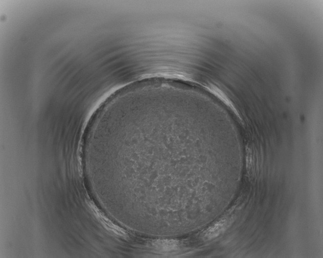 X0000064771068200602131311