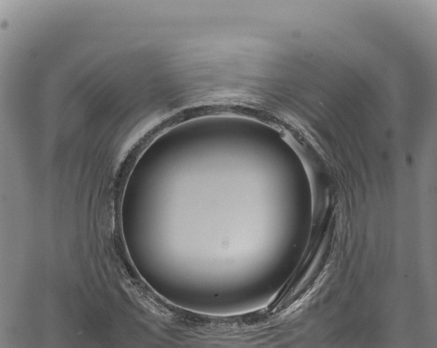 X0000064771069200602131311