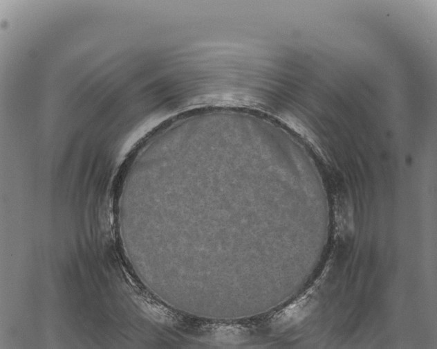 X0000064771070200602131311