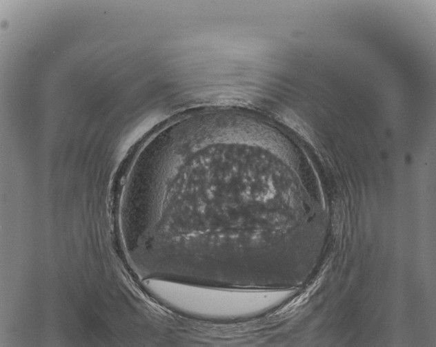 X0000064771071200602131311