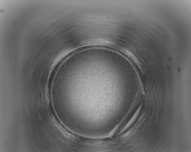 X0000064771072200602131311