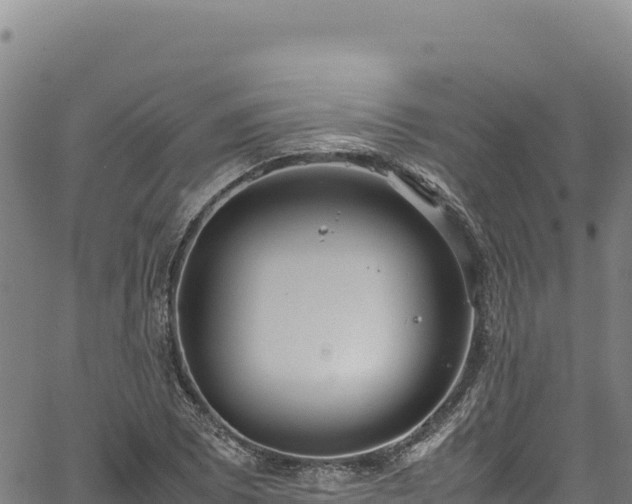 X0000064771073200602131311