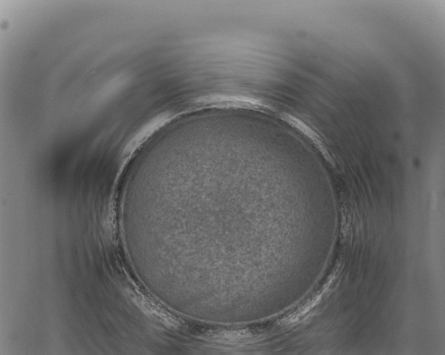 X0000064771074200602131311