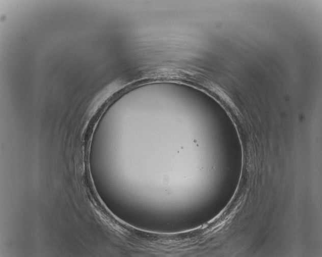 X0000064771075200602131311