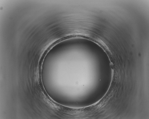 X0000064771076200602131311