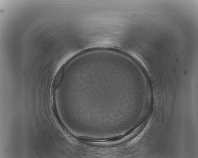 X0000064771077200602131310