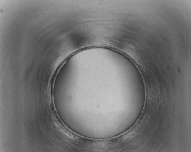 X0000064771078200602131310