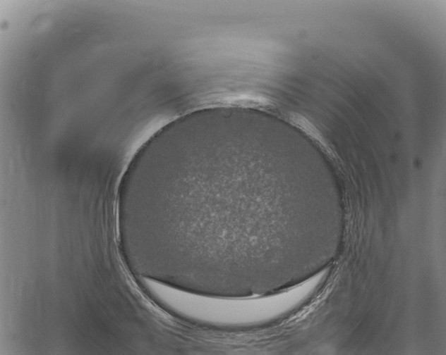 X0000064771079200602131310