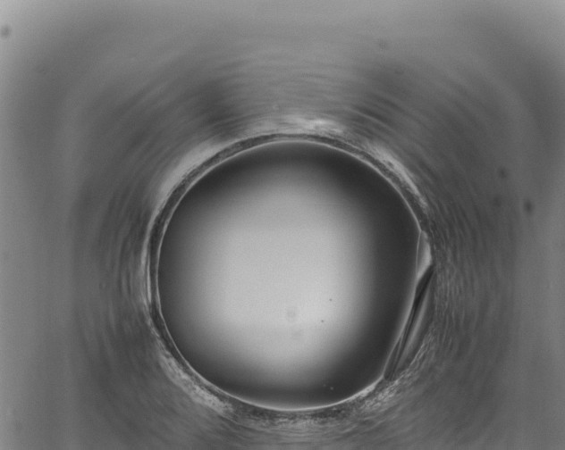 X0000064771080200602131310