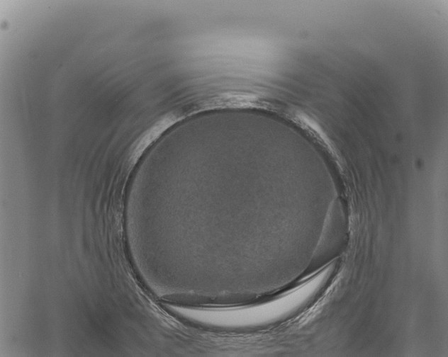 X0000064771081200602131310