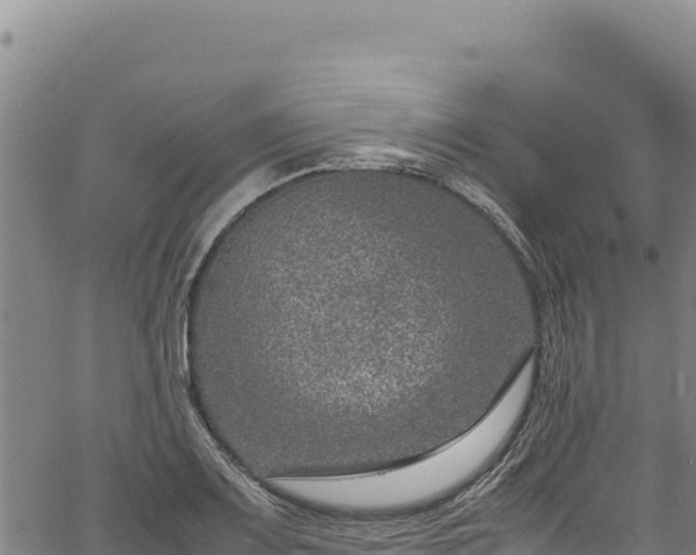 X0000064771083200602131310