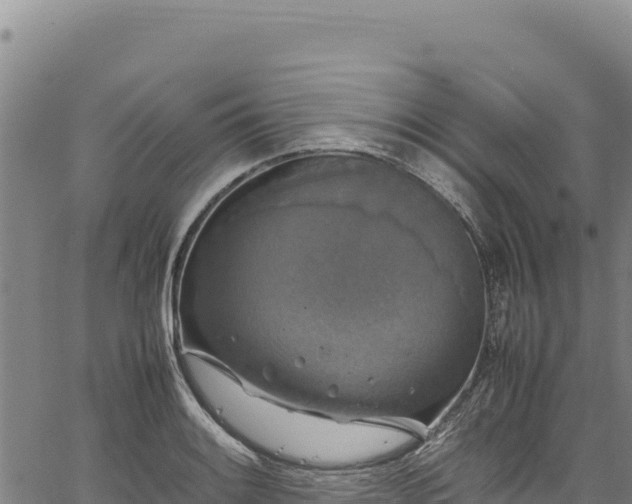 X0000064771084200602131310