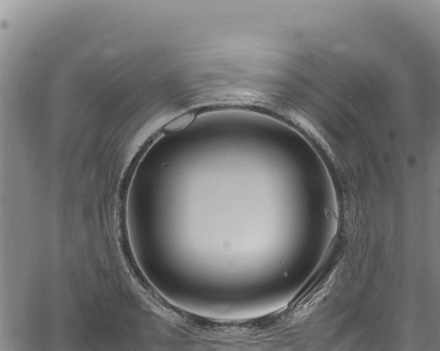 X0000064771085200602131310