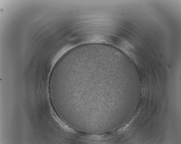 X0000064771086200602131310