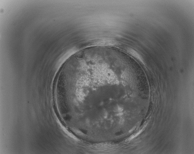 X0000064771087200602131310