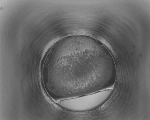 X0000064771088200602131310