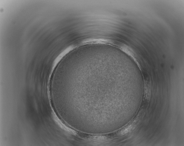 X0000064771090200602131310