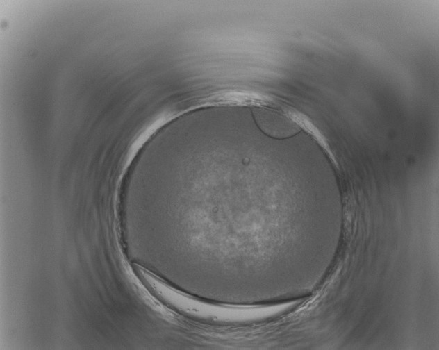 X0000064771091200602131310