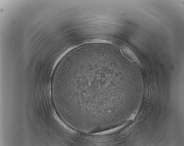 X0000064771092200602131310