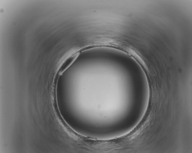 X0000064771093200602131310