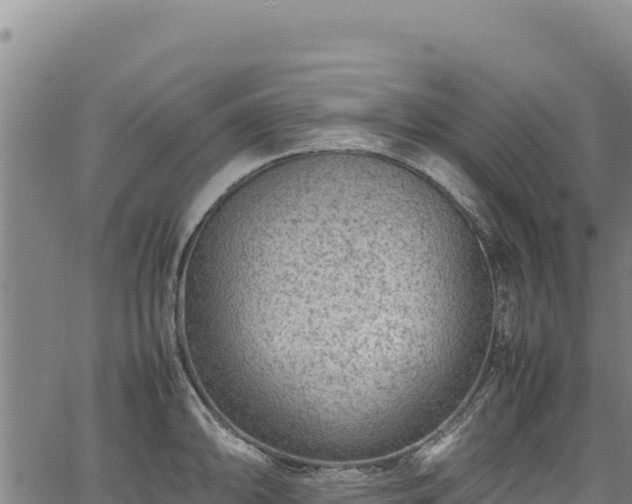 X0000064771094200602131310