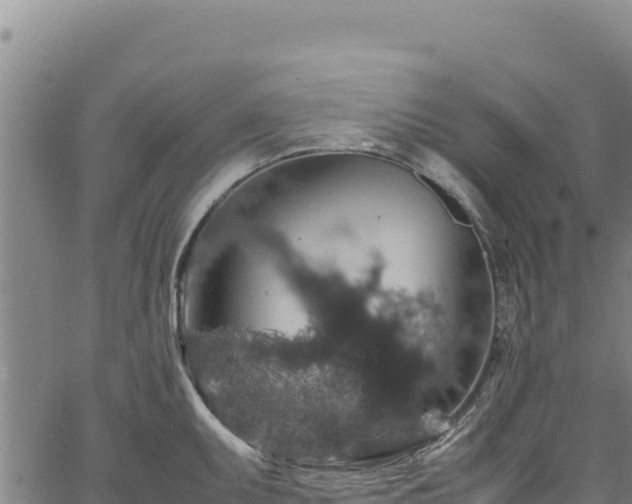 X0000064771095200602131310