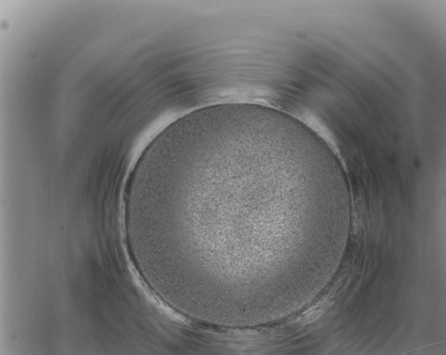 X0000064771096200602131310