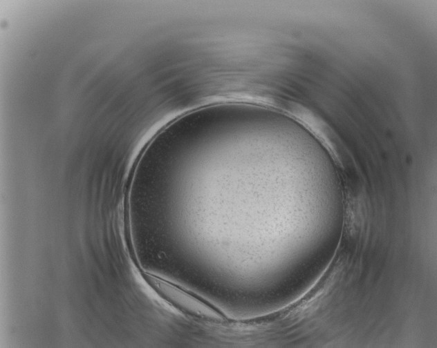 X0000064771100200602131310