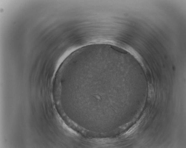 X0000064771102200602131310