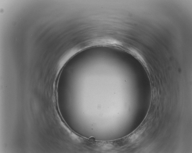 X0000064771103200602131310