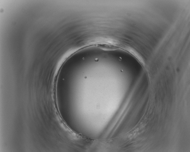 X0000064771104200602131310