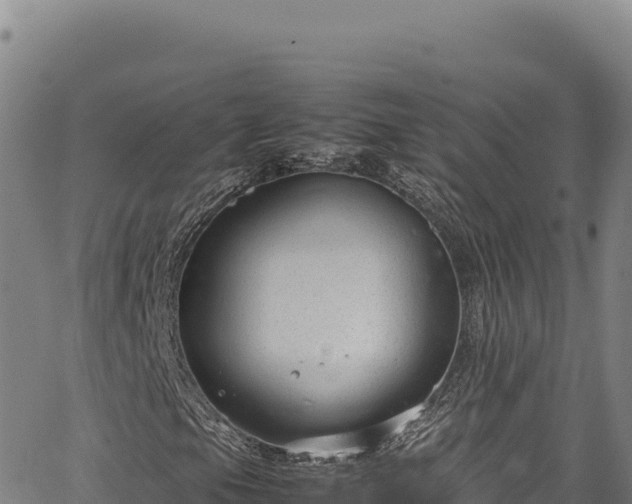 X0000064771105200602131309