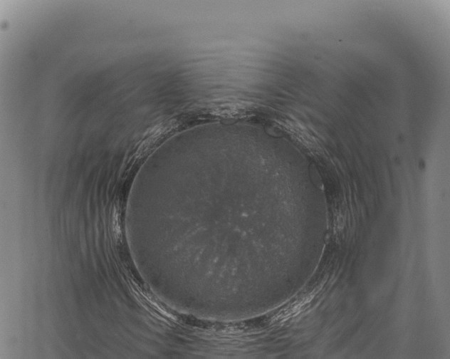 X0000064771106200602131309