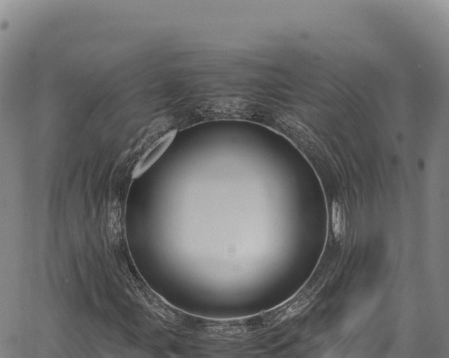 X0000064771107200602131309