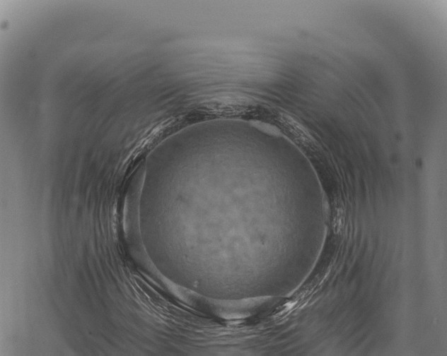 X0000064771108200602131309