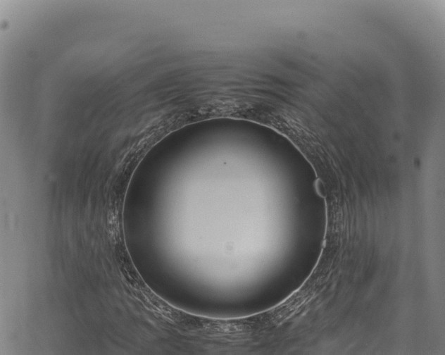 X0000064771109200602131309