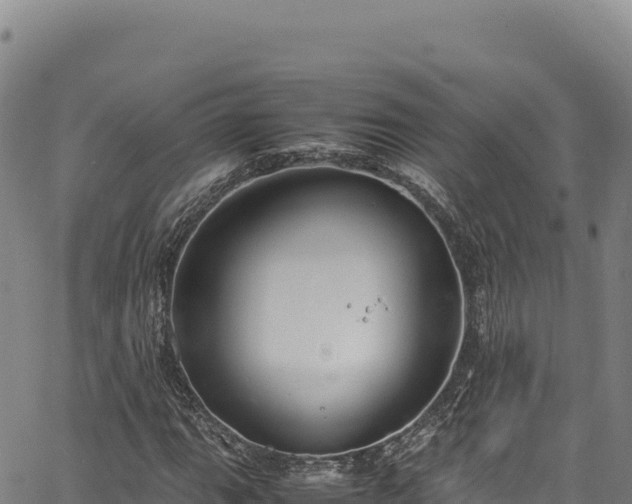 X0000064771111200602131309