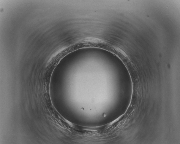 X0000064771112200602131309