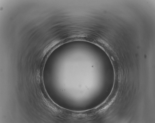 X0000064771113200602131309