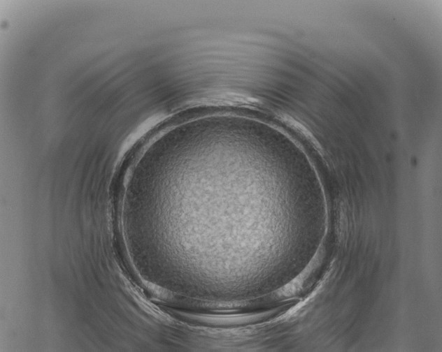 X0000064771114200602131309