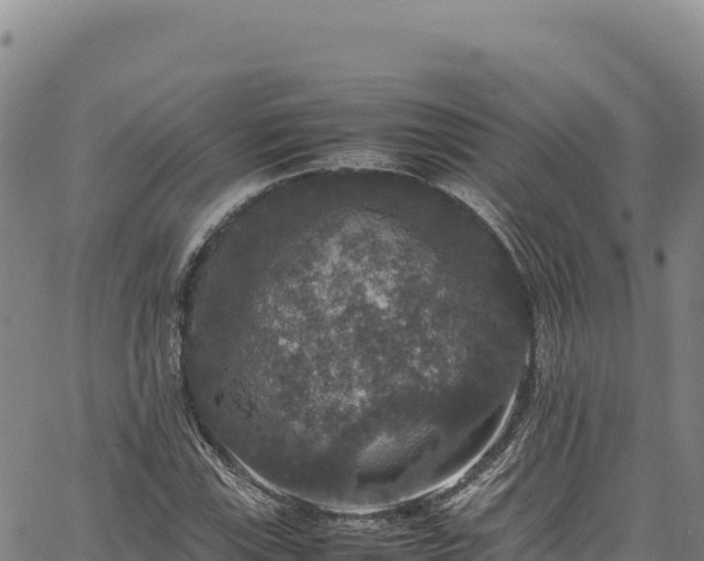 X0000064771115200602131309